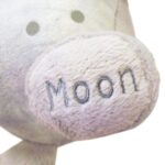 Celestial-Buddies-Moon-1.jpg