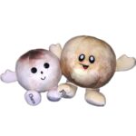 Celestial-Buddies-Pluto-and-Charon.jpg