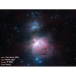 Celestron-Teleskop-Astrograph-S-203-400-RASA-800-AVX-GoTo-SET (16)