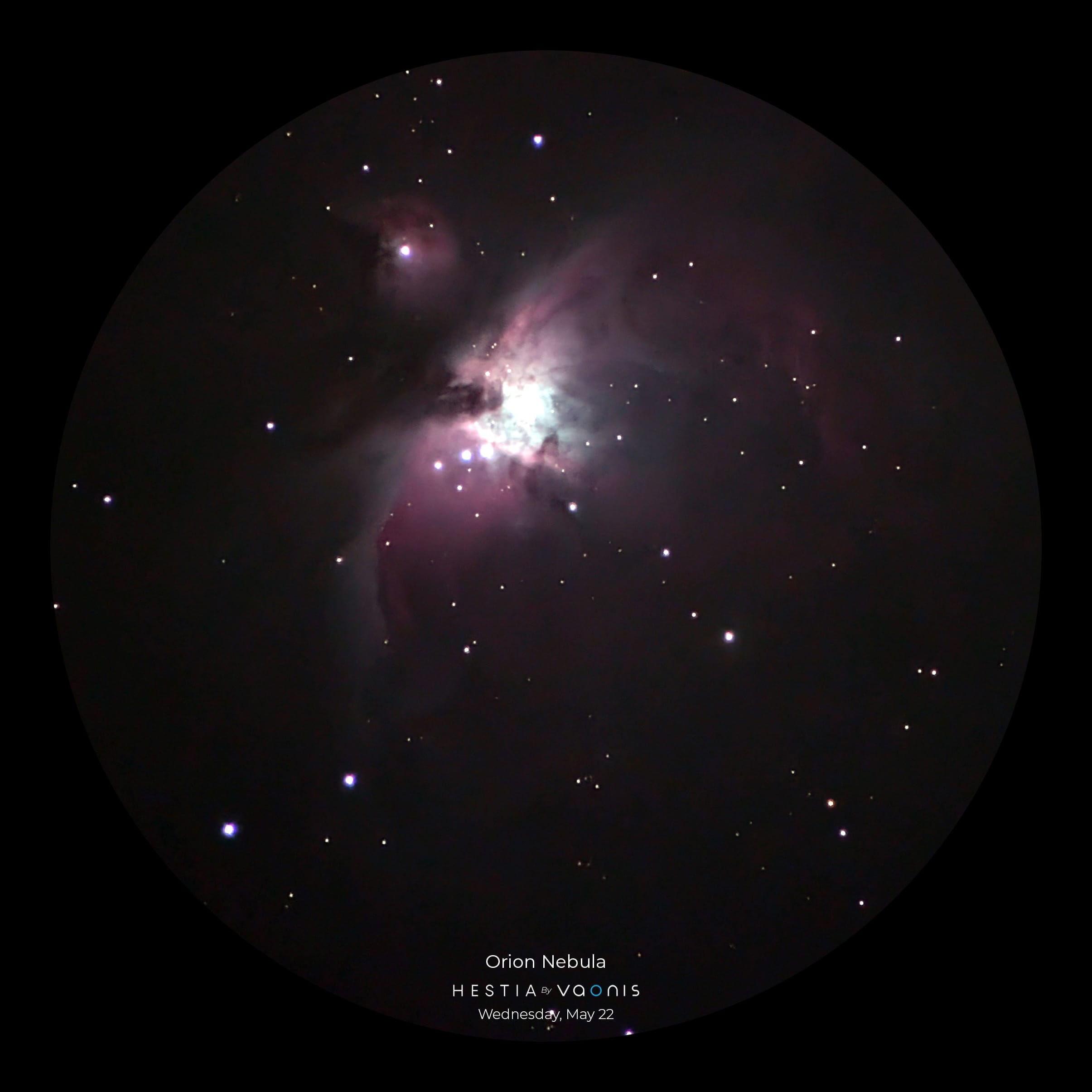 Hestia 9 Hestia Deep sky mode Orion Nebula1 Hestia Deep sky mode Orion Nebula1 Telescoop.nl - Alles voor sterrenkijken & natuurwaarneming
