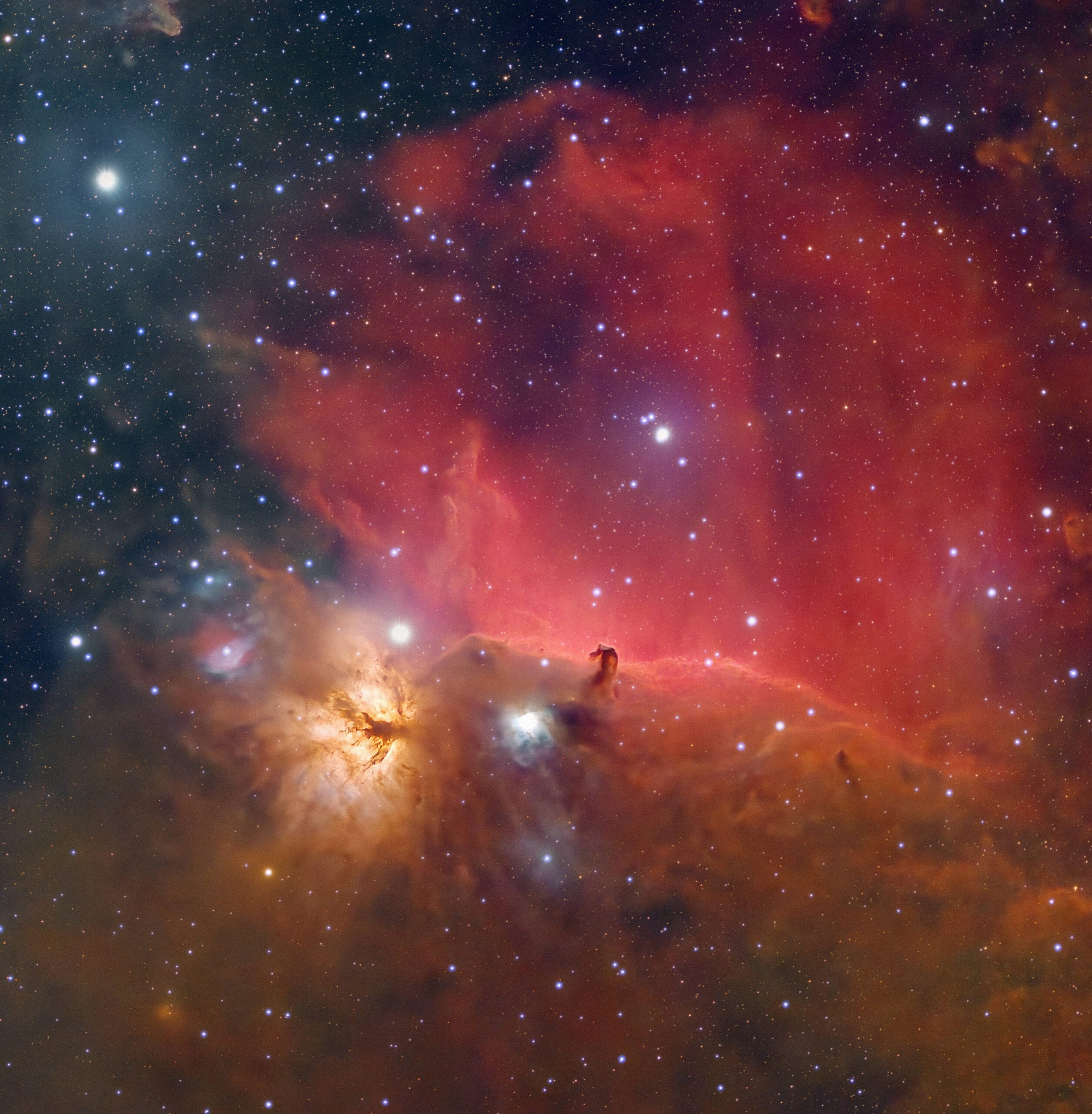 Vespera II 5 Vespera 2 Horsehead nebula with live mosaic mode CovalENS scaled 1 Vespera 2 Horsehead nebula with live mosaic mode CovalENS scaled 1 Telescoop.nl - Alles voor sterrenkijken & natuurwaarneming