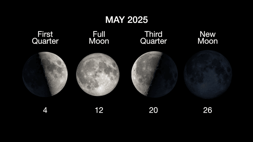 Planeten kijken mei 2025: zie vier planeten én een zeldzame supernova 4 whats up may 2025 moon phases planeten kijken mei 2025