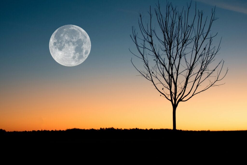Blog 44 pexels david besh 884788 full moon July 2025