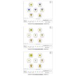 Omegon-Pro-Coma-Corrector-3-0-85x (8)
