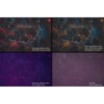 Optolong-Filters-filter-L-eNhance-1-25 (4)