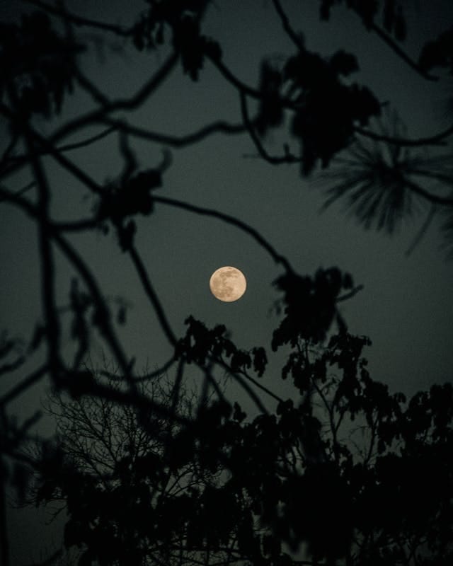 Volle maan oktober 2025 3 volle maan oktober 2025 1 volle maan oktober 2025