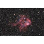 Bresser-N-203-800-NT-203S-Telescoop-Messier-Hexafoc-OTA-6