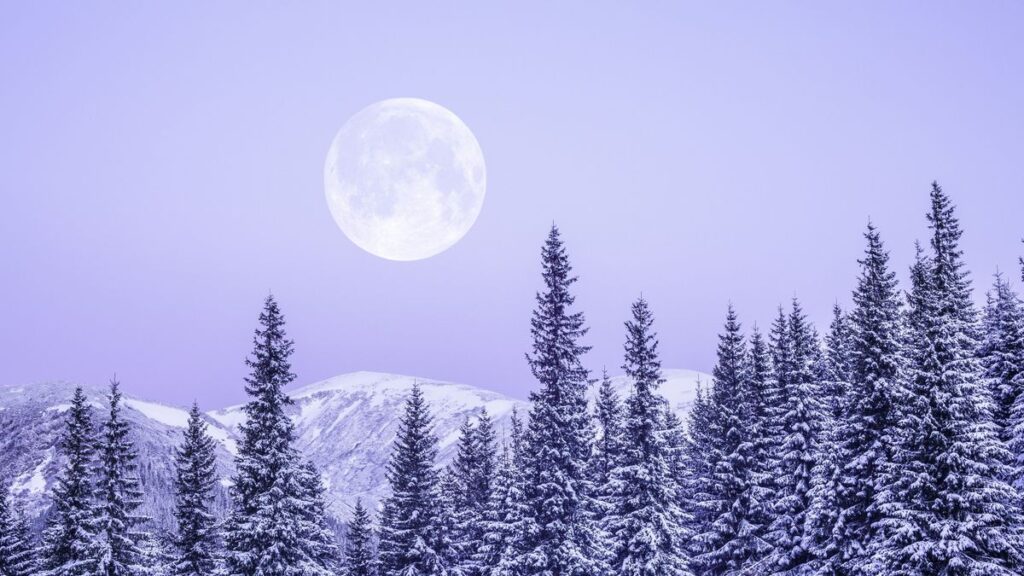 Blog 8 volle maan januari 2026 Full moon January 2026: the wolf moon