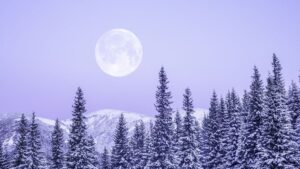 Volle maan januari 2026: de wolfmaan