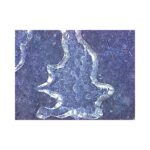 Omegon-DigitalView-USB handheld microscope