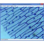 Omegon-Microscoop-MonoView-MicroStar-achromat-1280x-LED-1