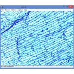Omegon-Microscoop-MonoView-MicroStar-achromat-1280x-LED-2