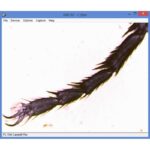 Omegon-Microscoop-MonoView-MicroStar-achromat-1280x-LED-4