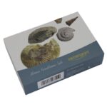 Omegon-Mini-fossil set-1