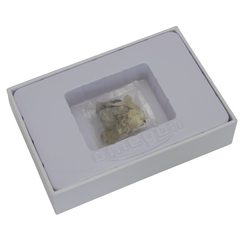 Omegon Mini Fossil Set 2 Omegon Mini fossil set Omegon Mini fossil set opened box with bag of fossils in plastic holder