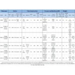 Omegon-Ritchey-Chretien-Pro-RC-355-2845-Truss-OTA-1