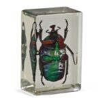 Omegon-preparations-green-ladybird-1