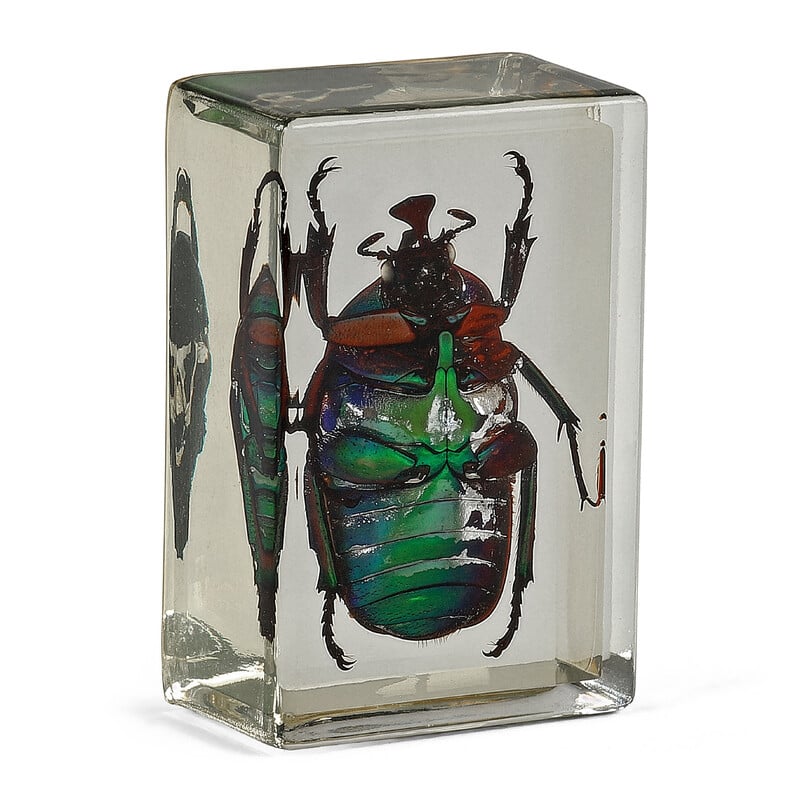 Omegon Preparations Green Ladybug 1 Omegon preparations green ladybug 1 Omegon preparations green ladybug oblique side view with colorful gloss and paw texture