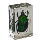 Omegon-preparations-green-ladybug