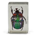 Omegon-preparations-green-ladybird-2