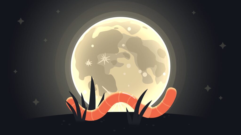 Volle maan maart 2026: alles wat je moet weten 5 volle maan maart 2026 volle maan maart 2026 Telescoop.nl - Alles voor sterrenkijken & natuurwaarneming