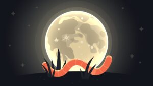 Volle maan maart 2026: alles wat je moet weten
