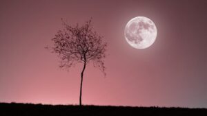 De volle maan van April 2026: Alles wat je moet weten over de roze maan