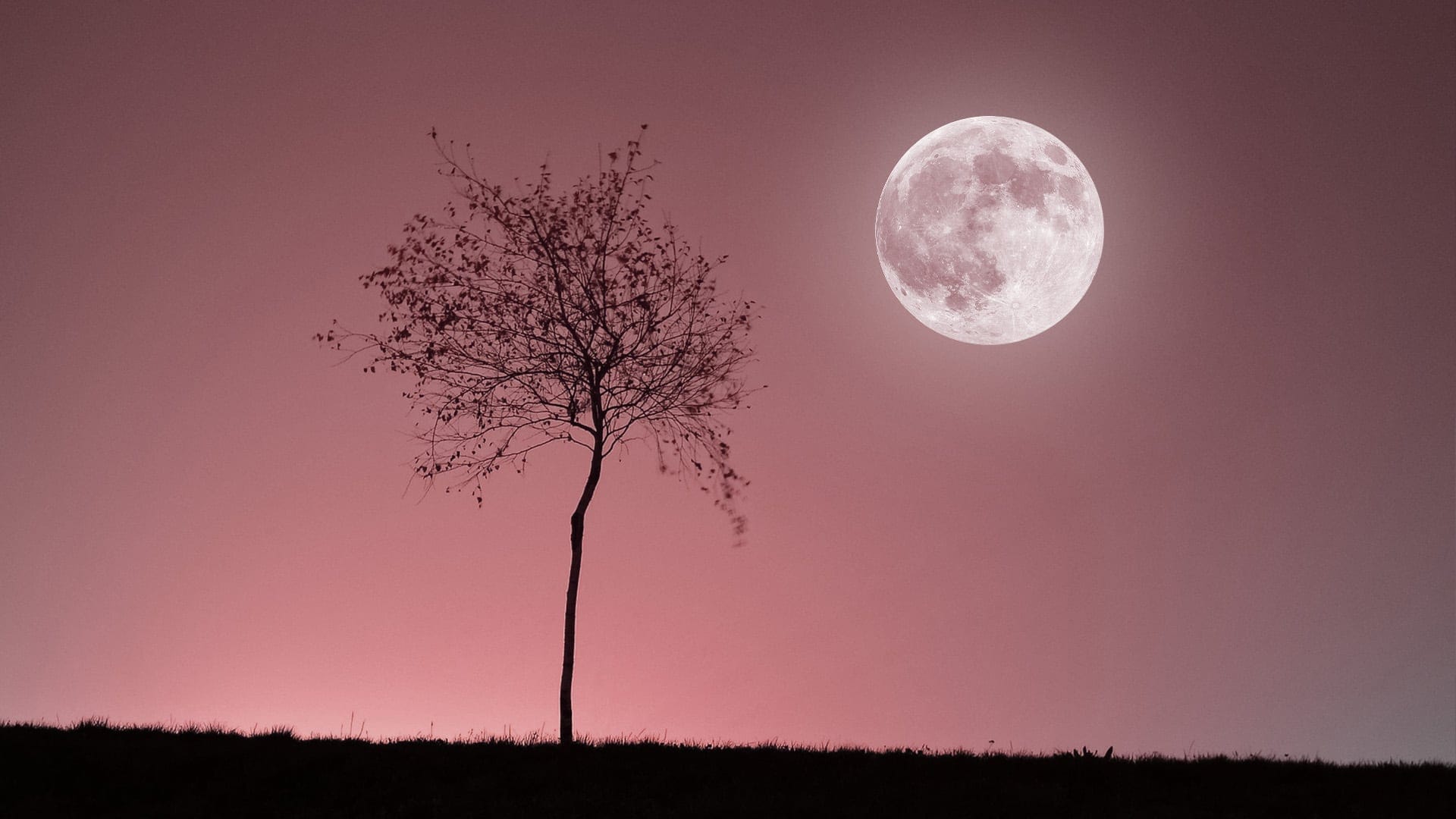 De volle maan van April 2026: Alles wat je moet weten over de roze maan
